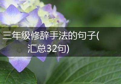 三年级修辞手法的句子(汇总32句)