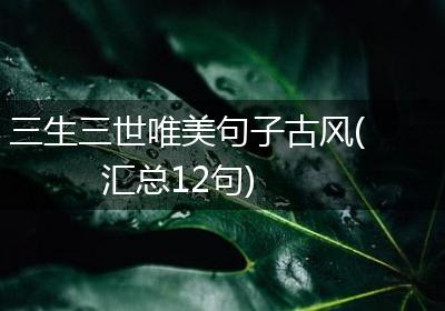 三生三世唯美句子古风(汇总12句)