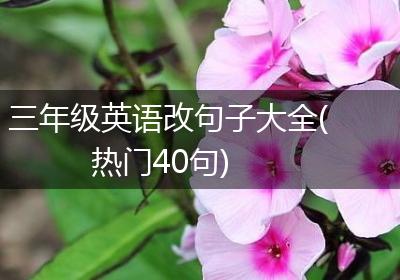 三年级英语改句子大全(热门40句)