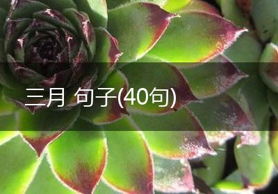 三月 句子(40句)
