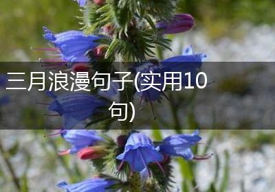 三月浪漫句子(实用10句)