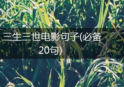 三生三世电影句子(必备20句)