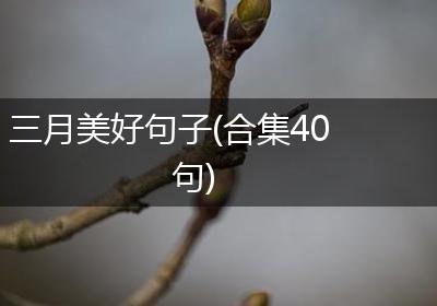 三月美好句子(合集40句)