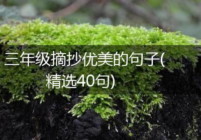 三年级摘抄优美的句子(精选40句)