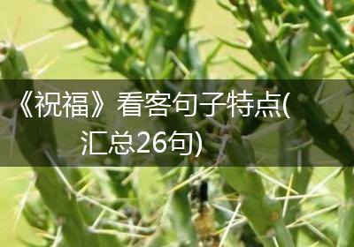 《祝福》看客句子特点(汇总26句)