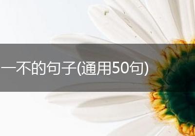 一不的句子(通用50句)