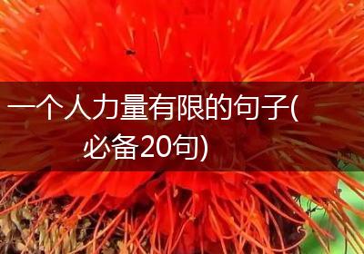 一个人力量有限的句子(必备20句)