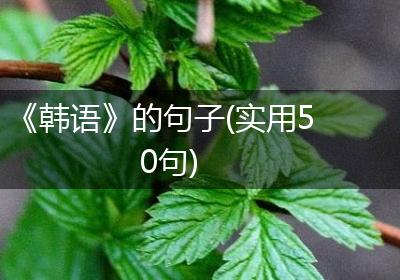 《韩语》的句子(实用50句)