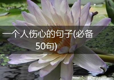 一个人伤心的句子(必备50句)