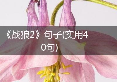 《战狼2》句子(实用40句)