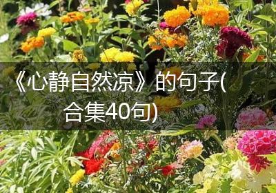 《心静自然凉》的句子(合集40句)