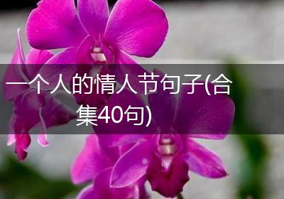 一个人的情人节句子(合集40句)
