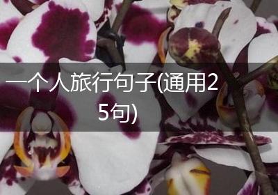 一个人旅行句子(通用25句)