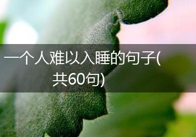 一个人难以入睡的句子(共60句)