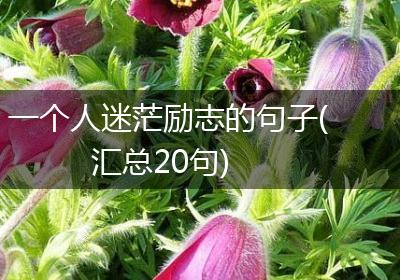 一个人迷茫励志的句子(汇总20句)