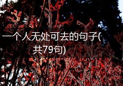 一个人无处可去的句子(共79句)