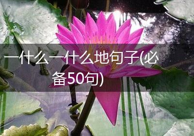 一什么一什么地句子(必备50句)