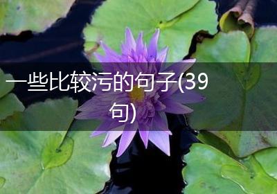 一些比较污的句子(39句)