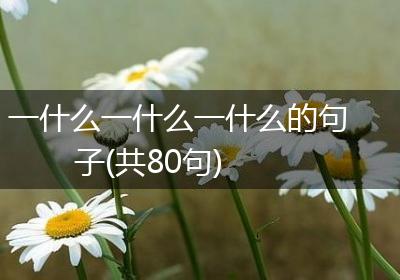 一什么一什么一什么的句子(共80句)