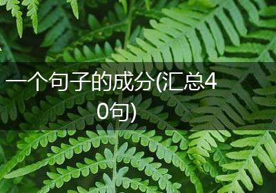 一个句子的成分(汇总40句)