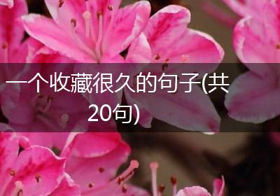一个收藏很久的句子(共20句)
