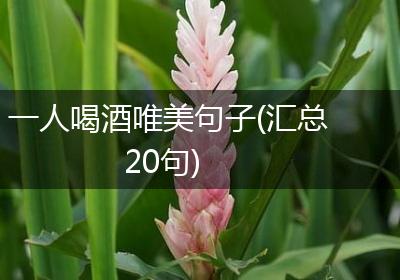 一人喝酒唯美句子(汇总20句)