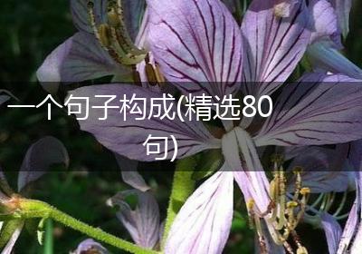 一个句子构成(精选80句)