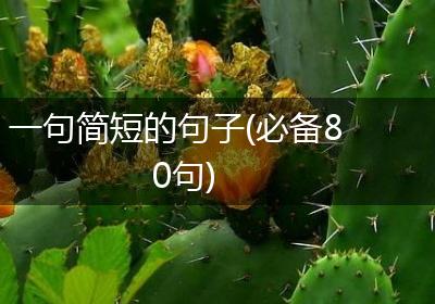 一句简短的句子(必备80句)
