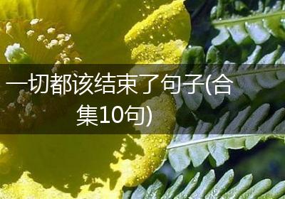 一切都该结束了句子(合集10句)