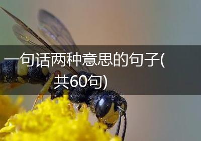 一句话两种意思的句子(共60句)