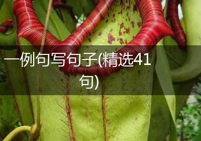 一例句写句子(精选41句)