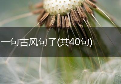 一句古风句子(共40句)