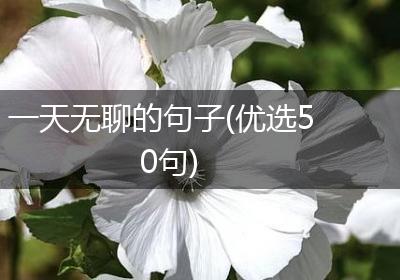 一天无聊的句子(优选50句)