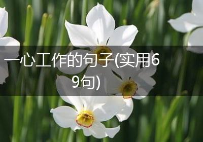一心工作的句子(实用69句)
