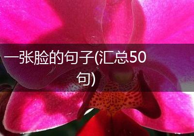 一张脸的句子(汇总50句)