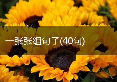 一张张组句子(40句)