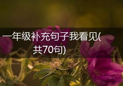 一年级补充句子我看见(共70句)