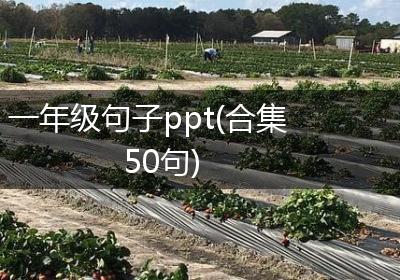 一年级句子ppt(合集50句)