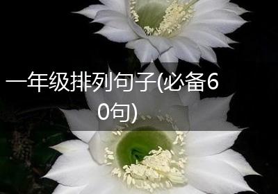 一年级排列句子(必备60句)