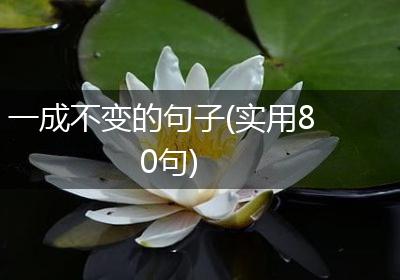一成不变的句子(实用80句)