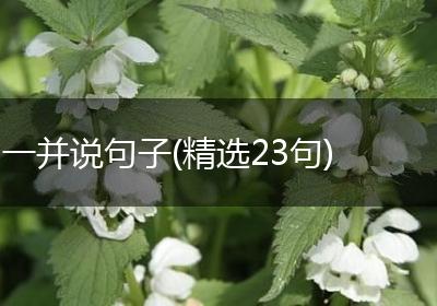 一并说句子(精选23句)