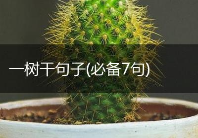 一树干句子(必备7句)