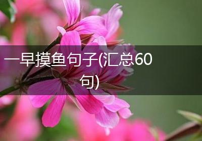 一早摸鱼句子(汇总60句)