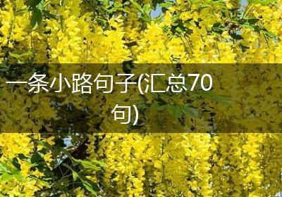 一条小路句子(汇总70句)