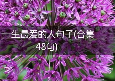 一生最爱的人句子(合集48句)