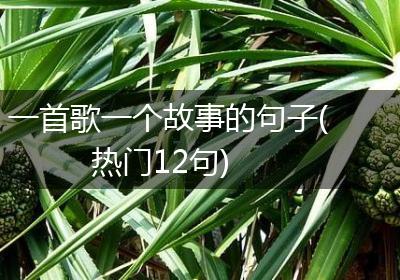 一首歌一个故事的句子(热门12句)