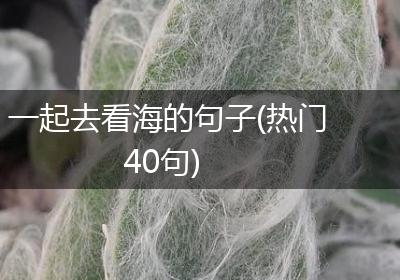 一起去看海的句子(热门40句)