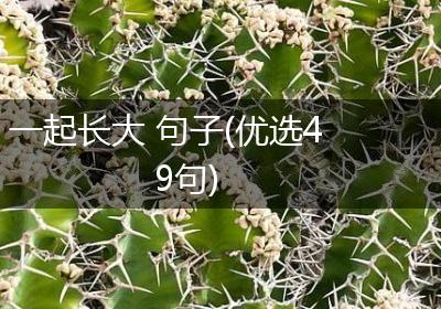 一起长大 句子(优选49句)