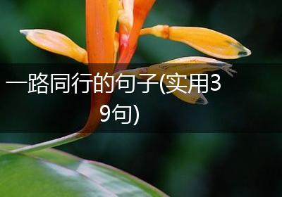 一路同行的句子(实用39句)