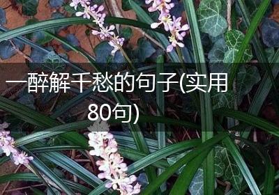 一醉解千愁的句子(实用80句)